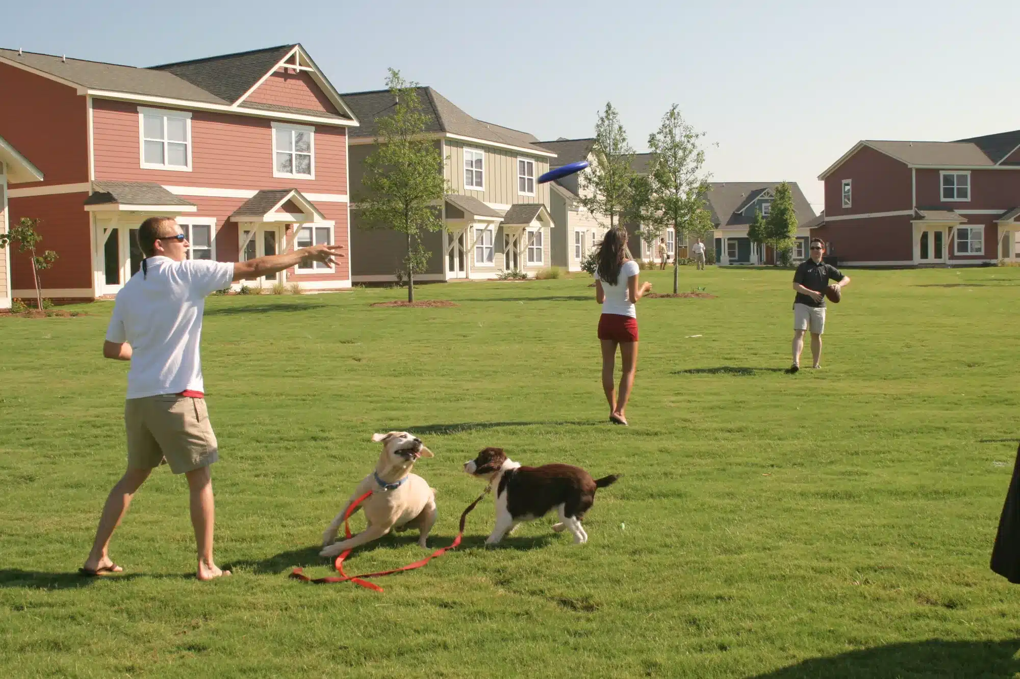the retreat at columbia uofsc apartments outdoor greenspace pet friendly